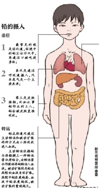 六问儿童血铅超标洗手可消除手上90%的铅